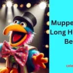 Muppet With Long Hooked Beak